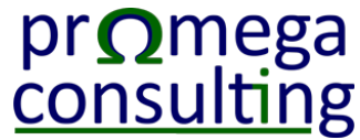 Promega Consulting